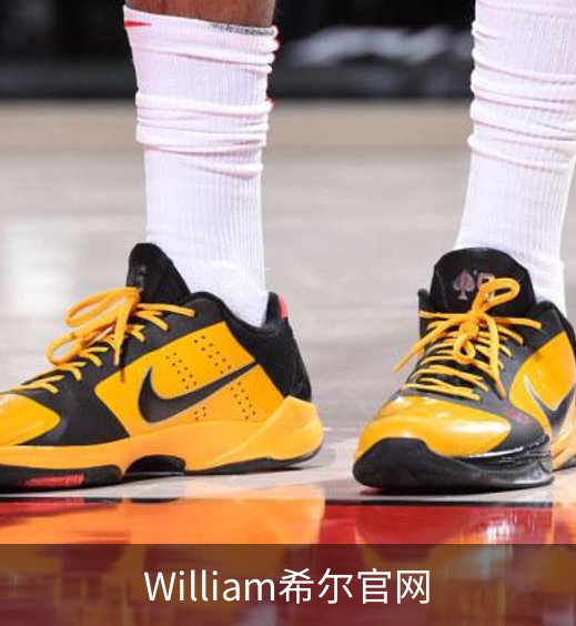 William希尔官网概况